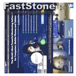 Flexispy Installed Phone